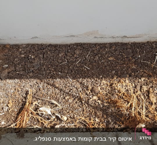 אדמה יבשה עם שורשים יבשים ועצמות קטנות